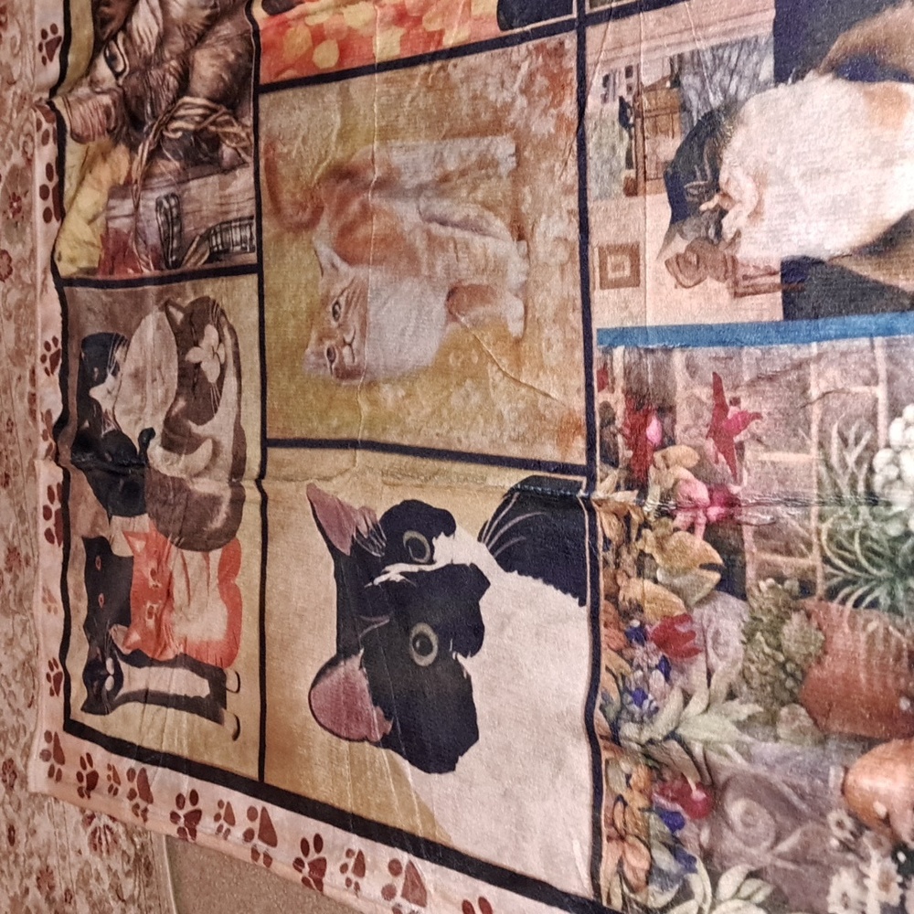 👻Cat throw blanket SALE/ BUNDLE ONLY 2or more items - Picture 5 of 7